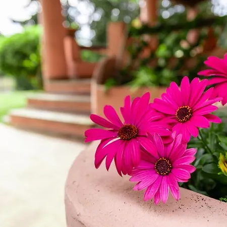 Privata Sulla - 800 Mq Di Giardino Villa