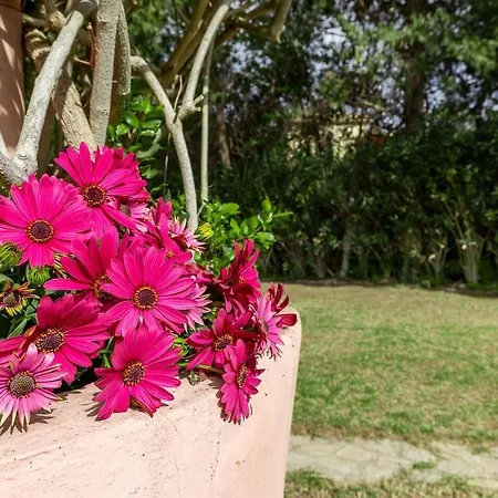 Privata Sulla - 800 Mq Di Giardino Villa